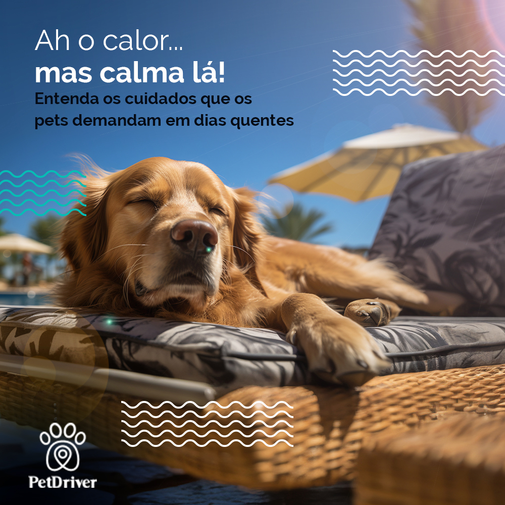 E aí, preparados para o calorão?