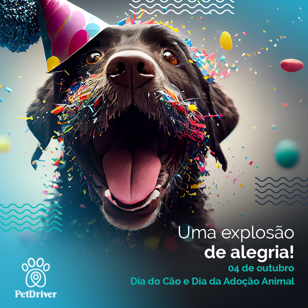 Um dia de muita comemoração para eles!