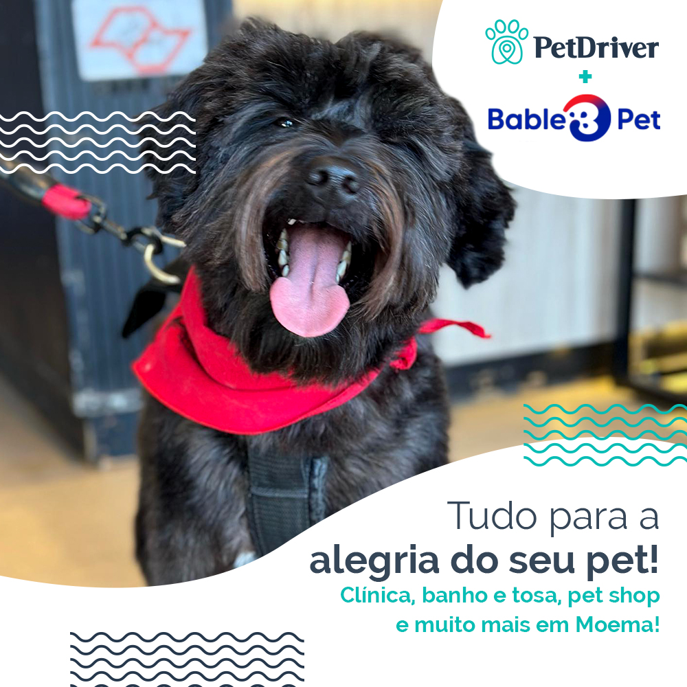Pets felizes e tutores satisfeitos!