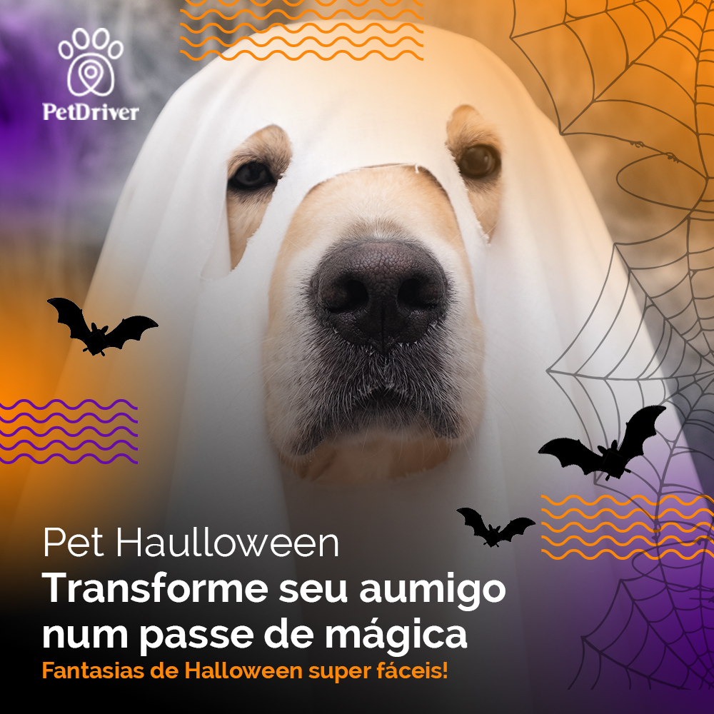 Dicas para tornar seu peludinho fofo em um pet apavorante!