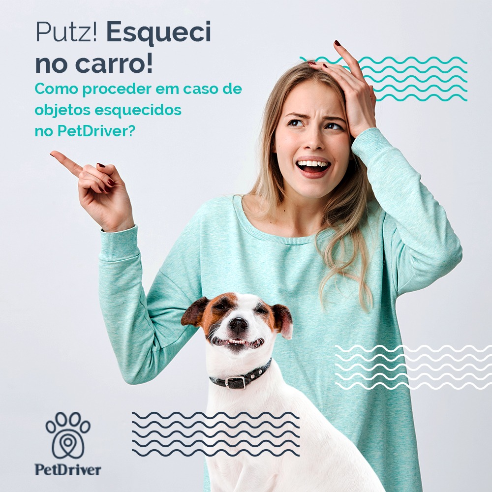 Ai caramba! Esqueci no carro! E agora?