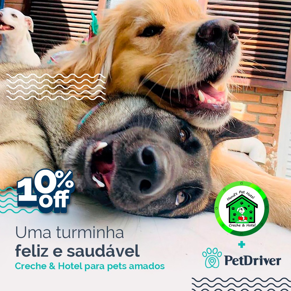 O lugar perfeito para os momentos de alegria diária