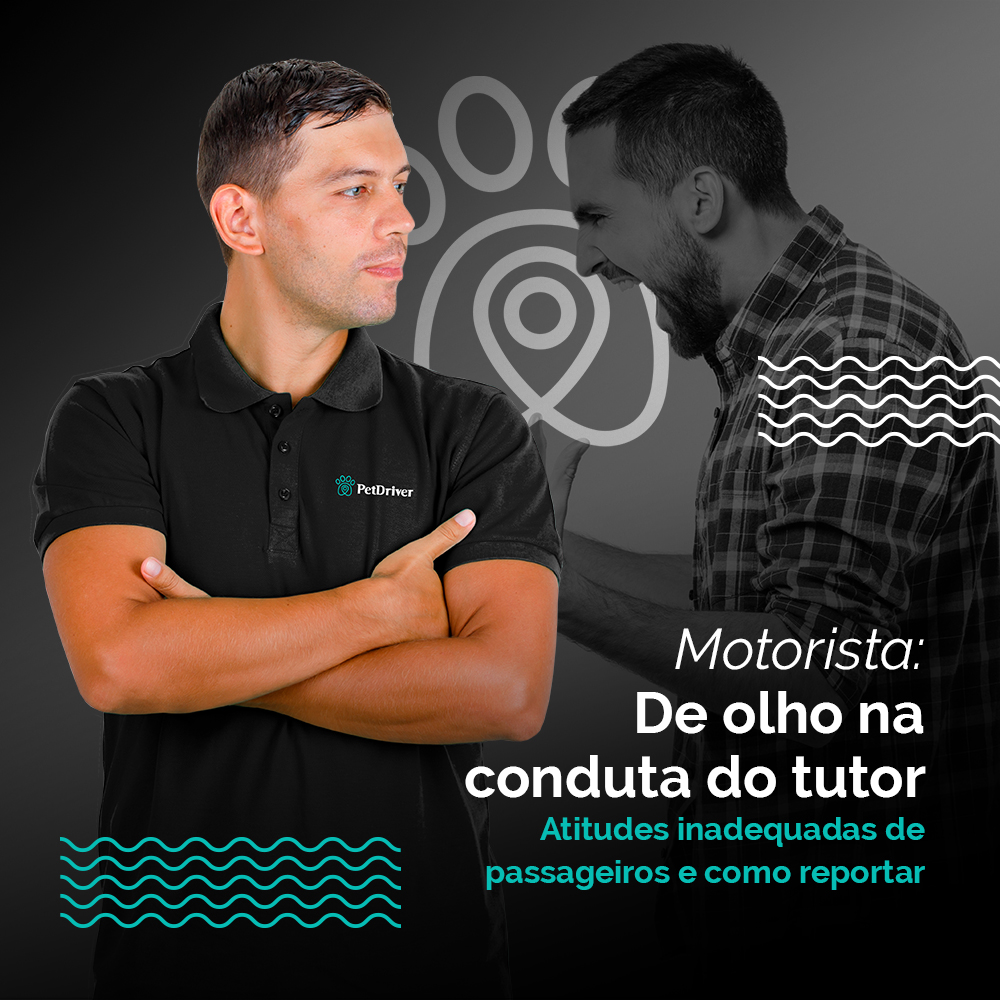 Via de mão dupla! Sinal verde para o respeito!