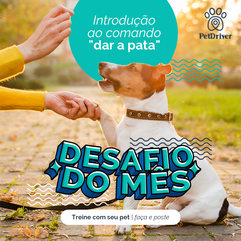 Transforme a Rotina com nossos desafios de Comandos!
