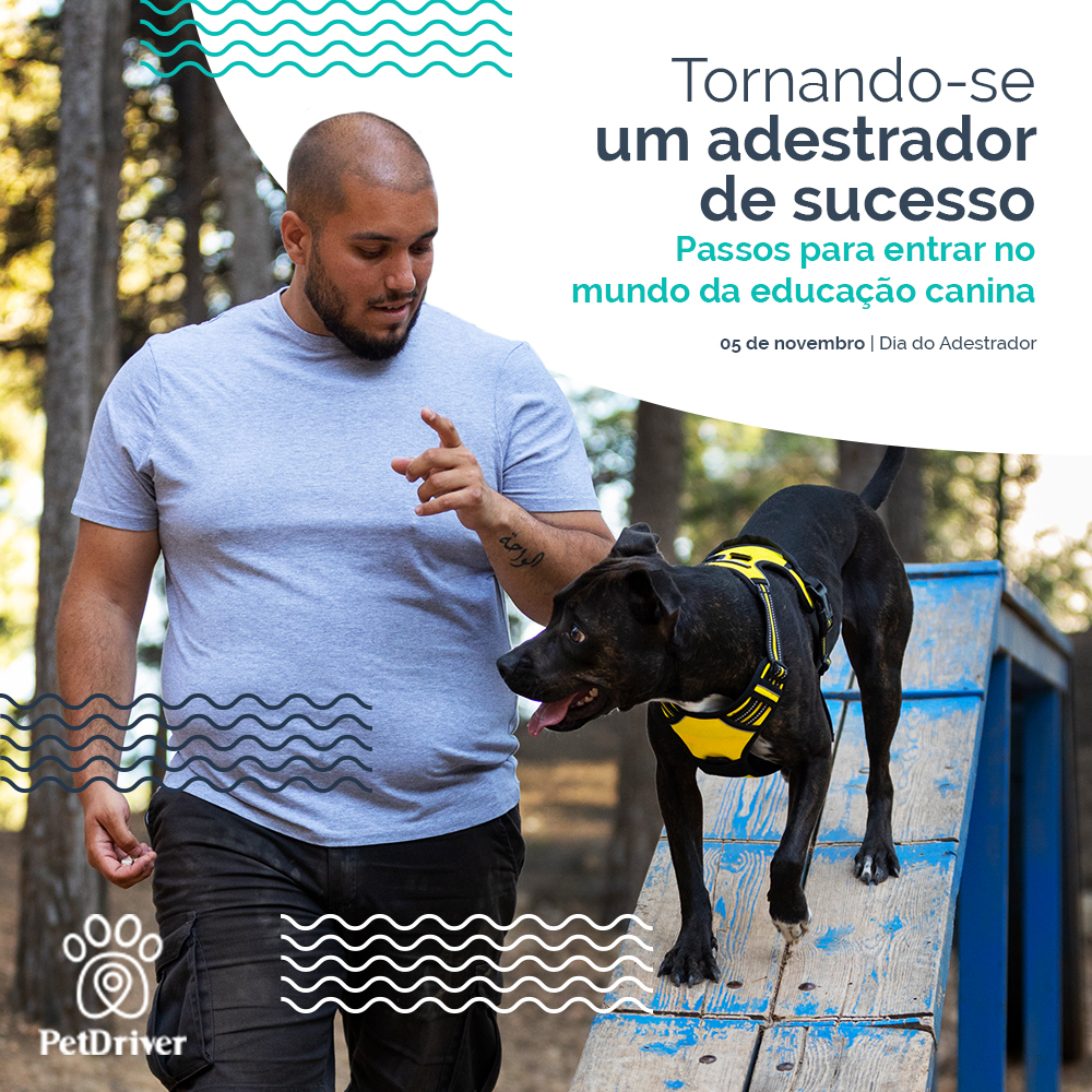 Tornando-se um adestrador de sucesso!