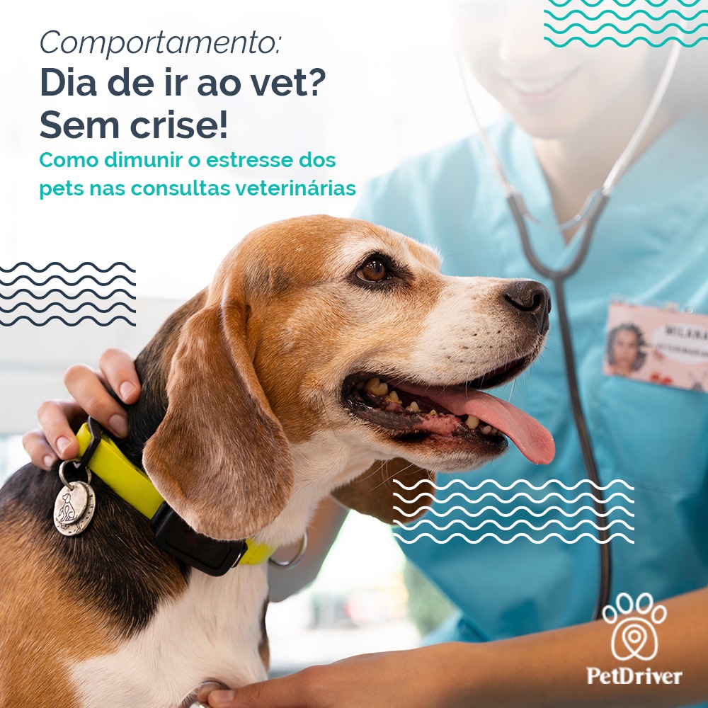 Veterinário sem Medo!