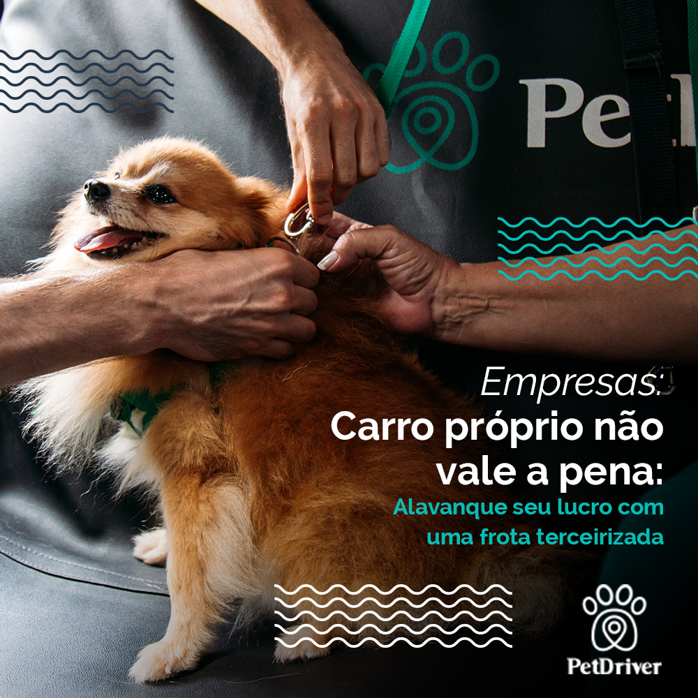 Impulsionando o setor pet com mais alcance e rotatividade