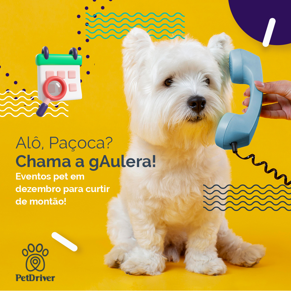 Um dezembro cheio de AUtividades!!!