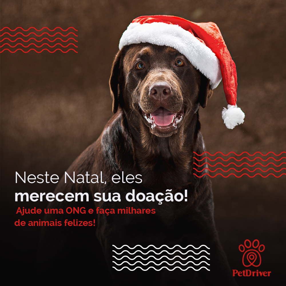 Neste Natal, eles merecem sua doação!