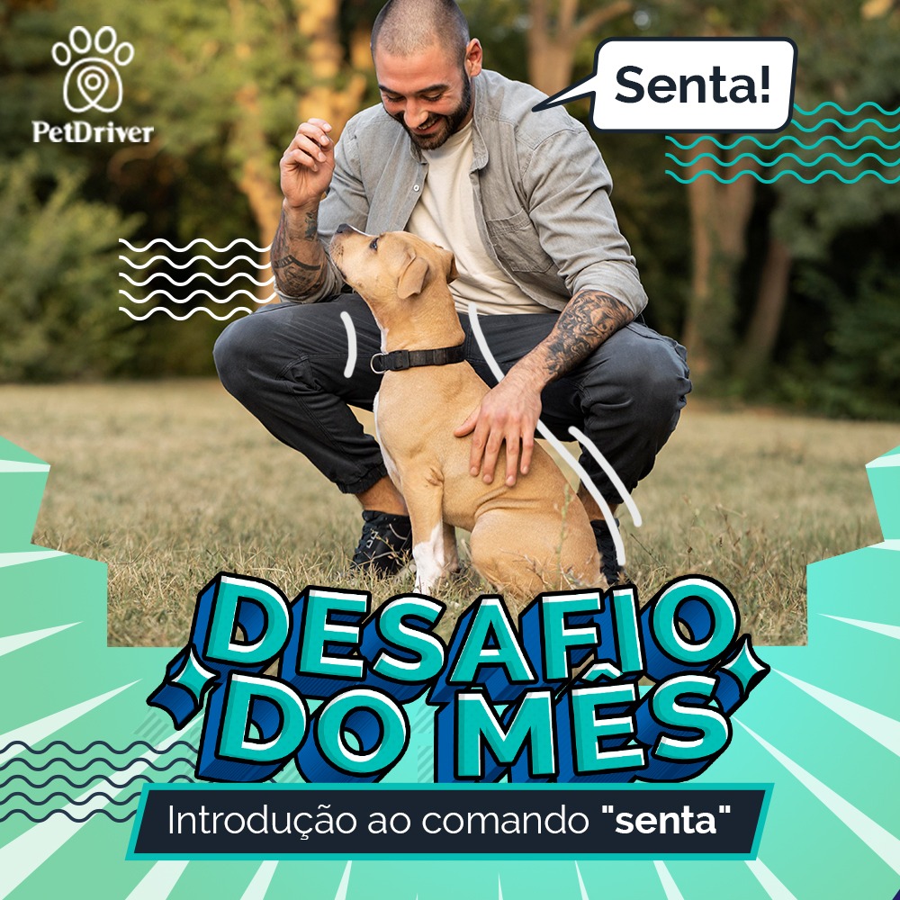 Diversão, conexão e aprendizado, juntos!