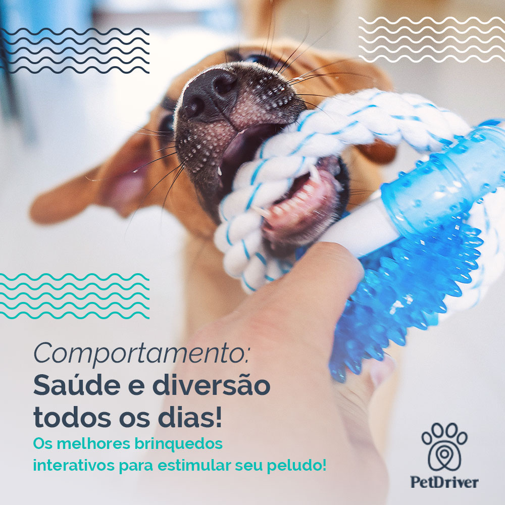 Saúde e diversão juntos, todos os dias!