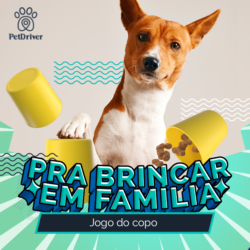 Diversão e aprendizado juntos!