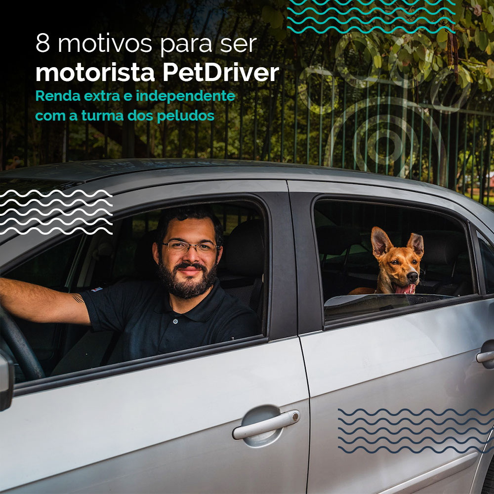 8 razões para rodar com a PetDriver e sair na frente!