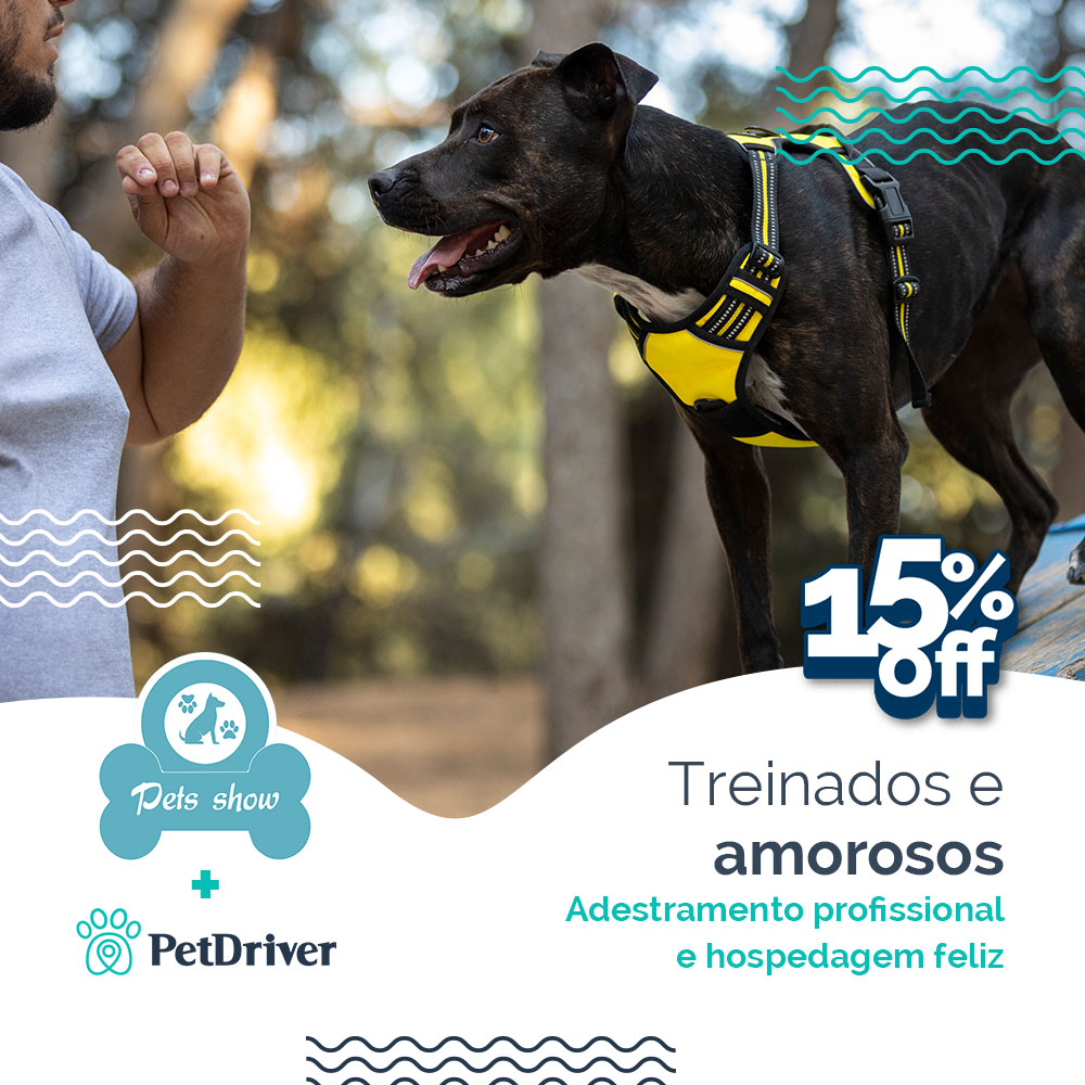 Treinamento e adestramento profissional em SP