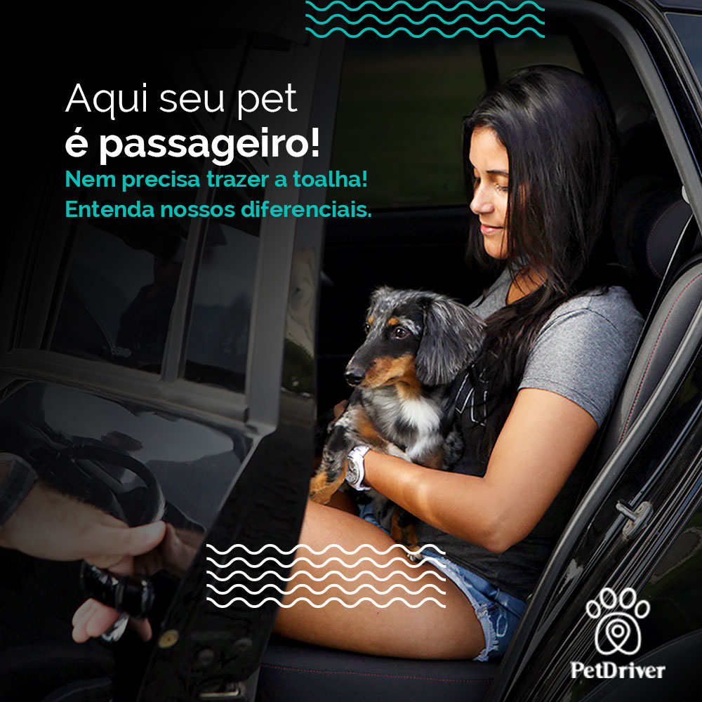  Pensado no transporte de animais domésticos em todos os detalhes!