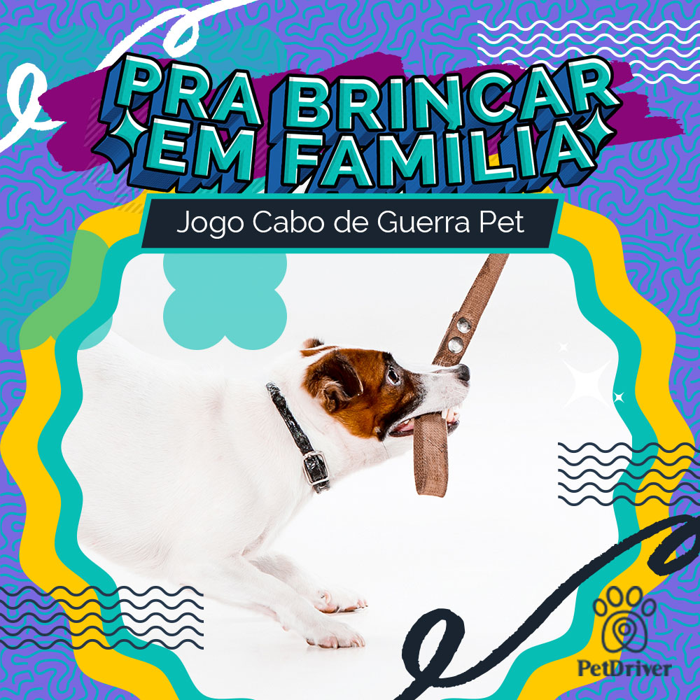 Brincadeiras saudáveis para estreitar os laços