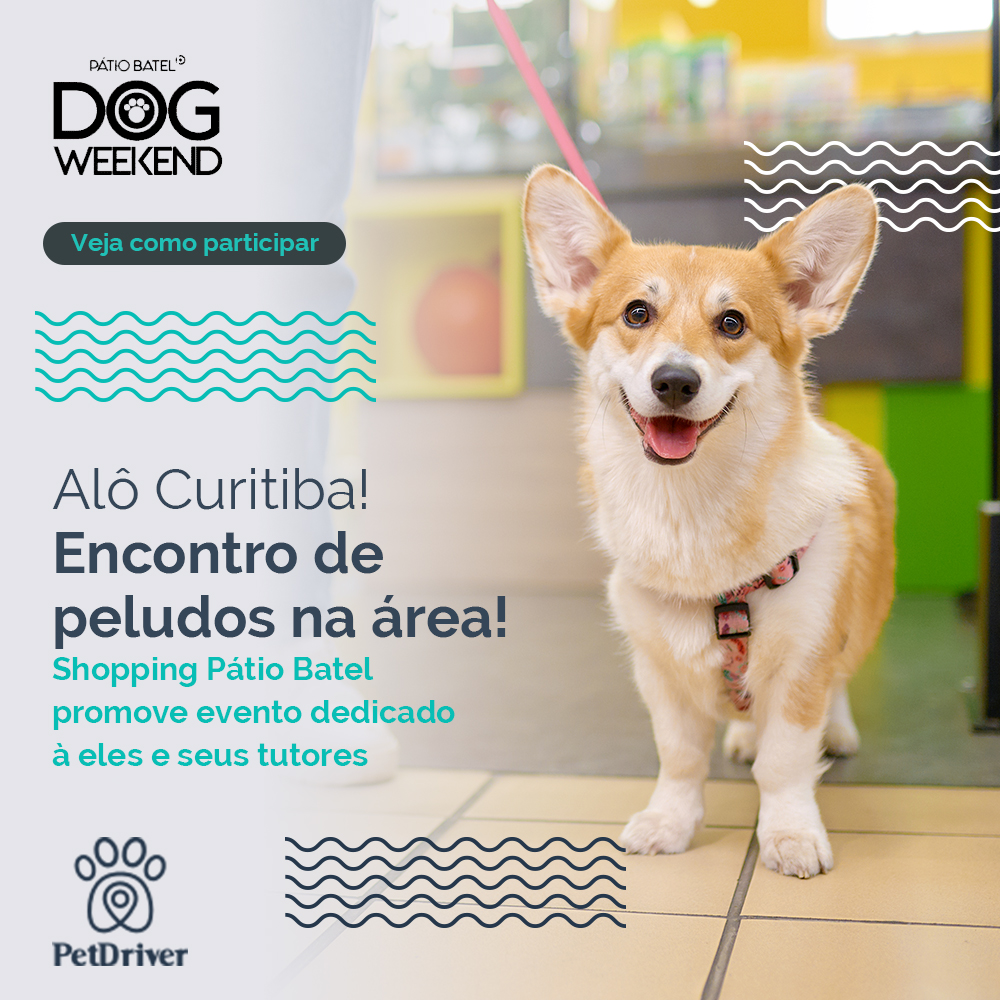 Encontro de peludos em Curitiba! Vai perder?