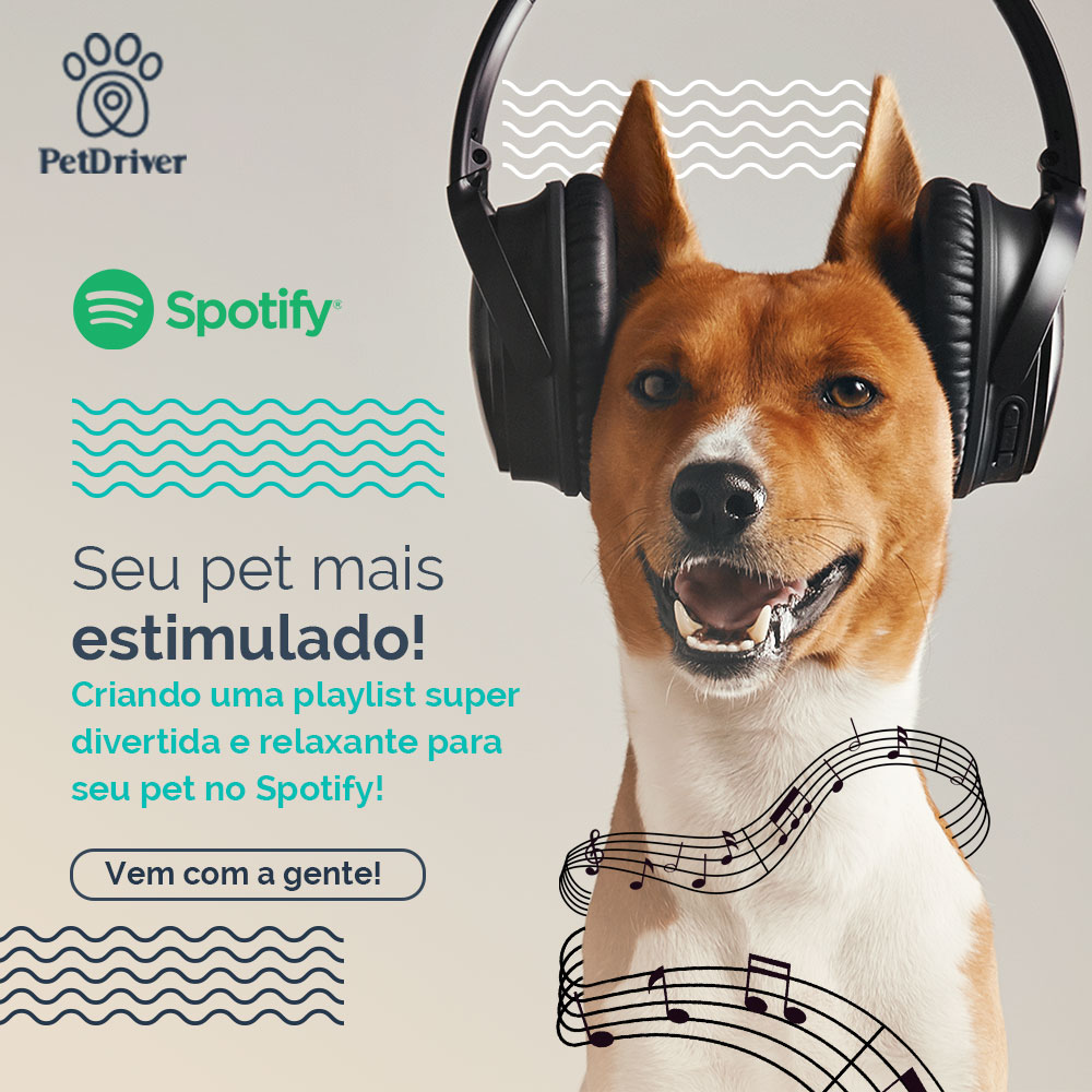 Pets estimulados com músicas eles vão amar!