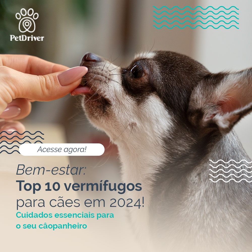 Cuidados que não podem ficar de lado