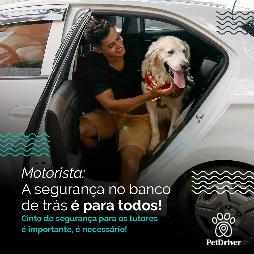 Segurança no banco de trás é para peludos e humanos também!
