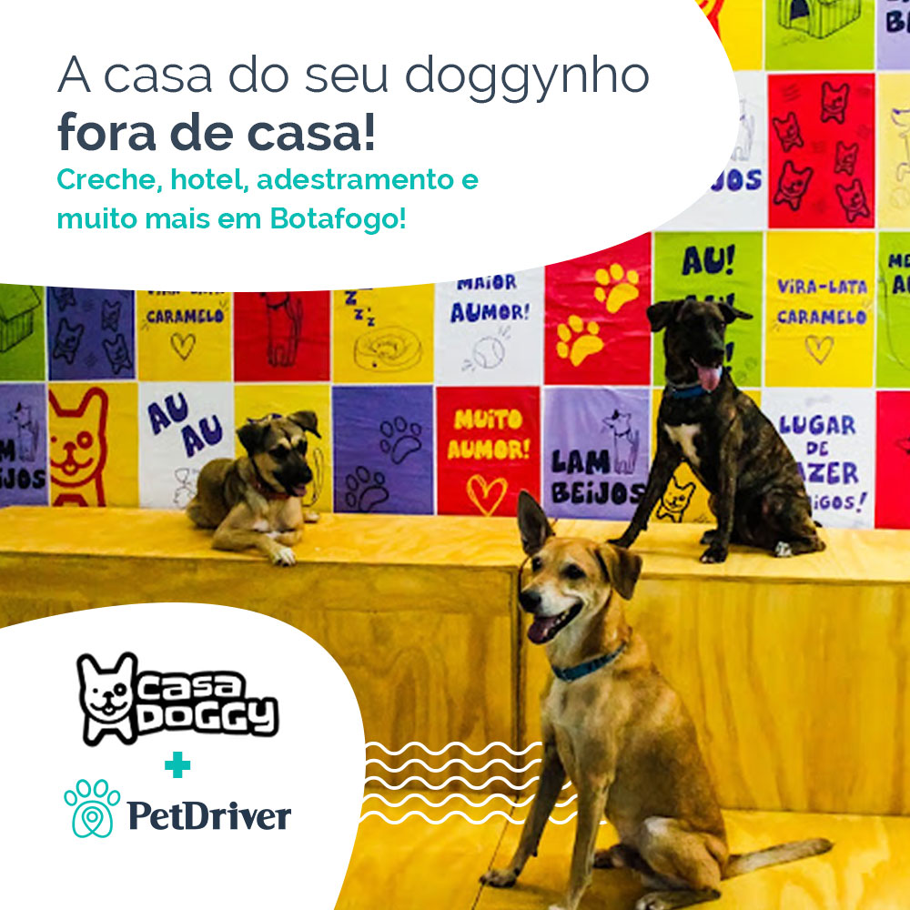 A casa do seu Doggy fora de casa!