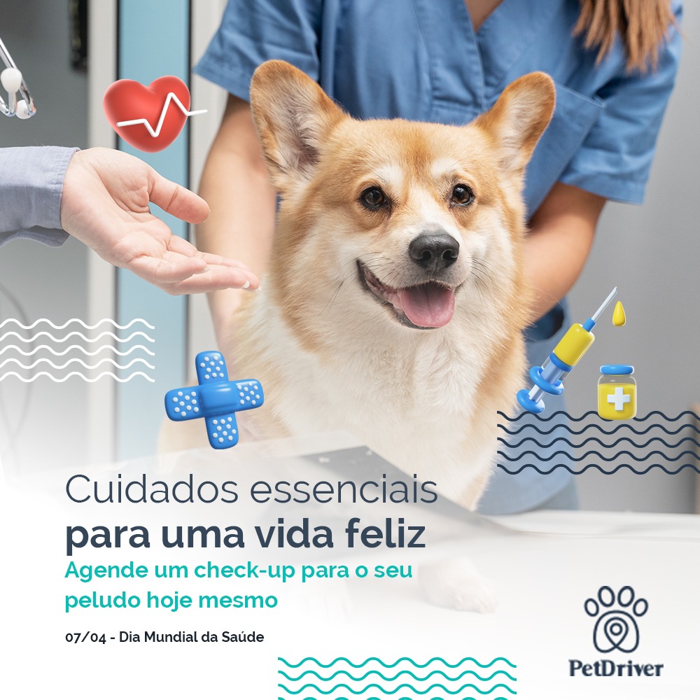  Cuidados essenciais garantem uma vida longa e feliz para o seu pet