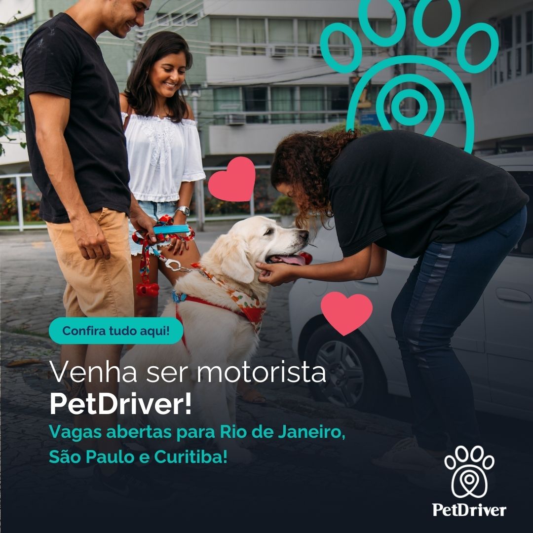 Desbloqueie novas oportunidades hoje!