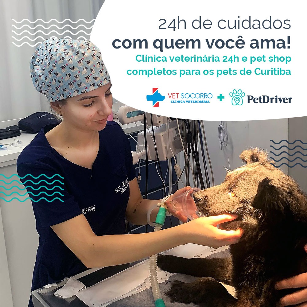 O refúgio da saúde animal em Curitiba!
