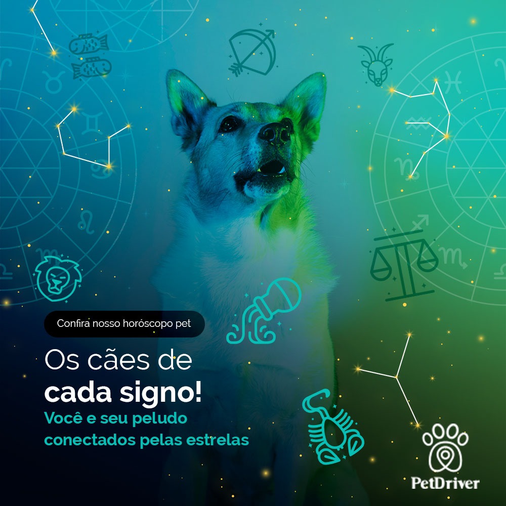 Cães de cada signo!
