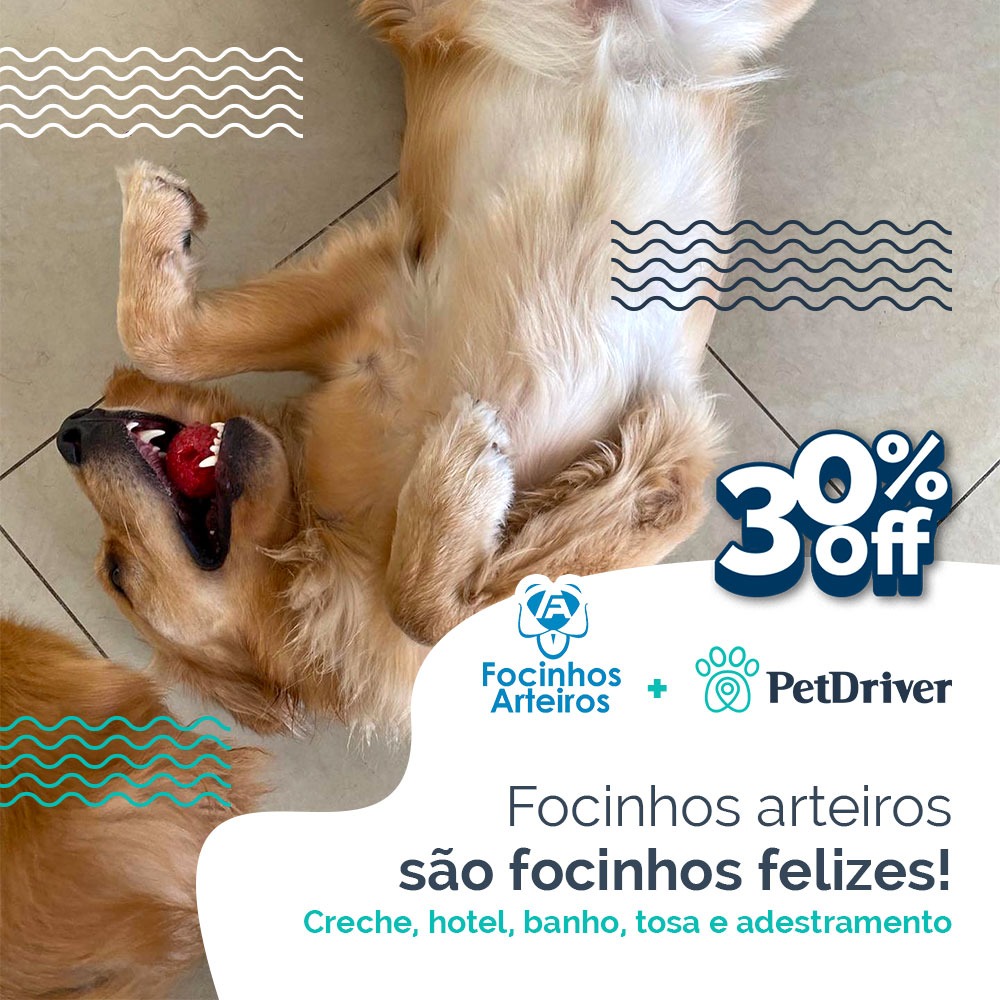 Tudo que o seu pet precisa para deixar o focinho feliz!