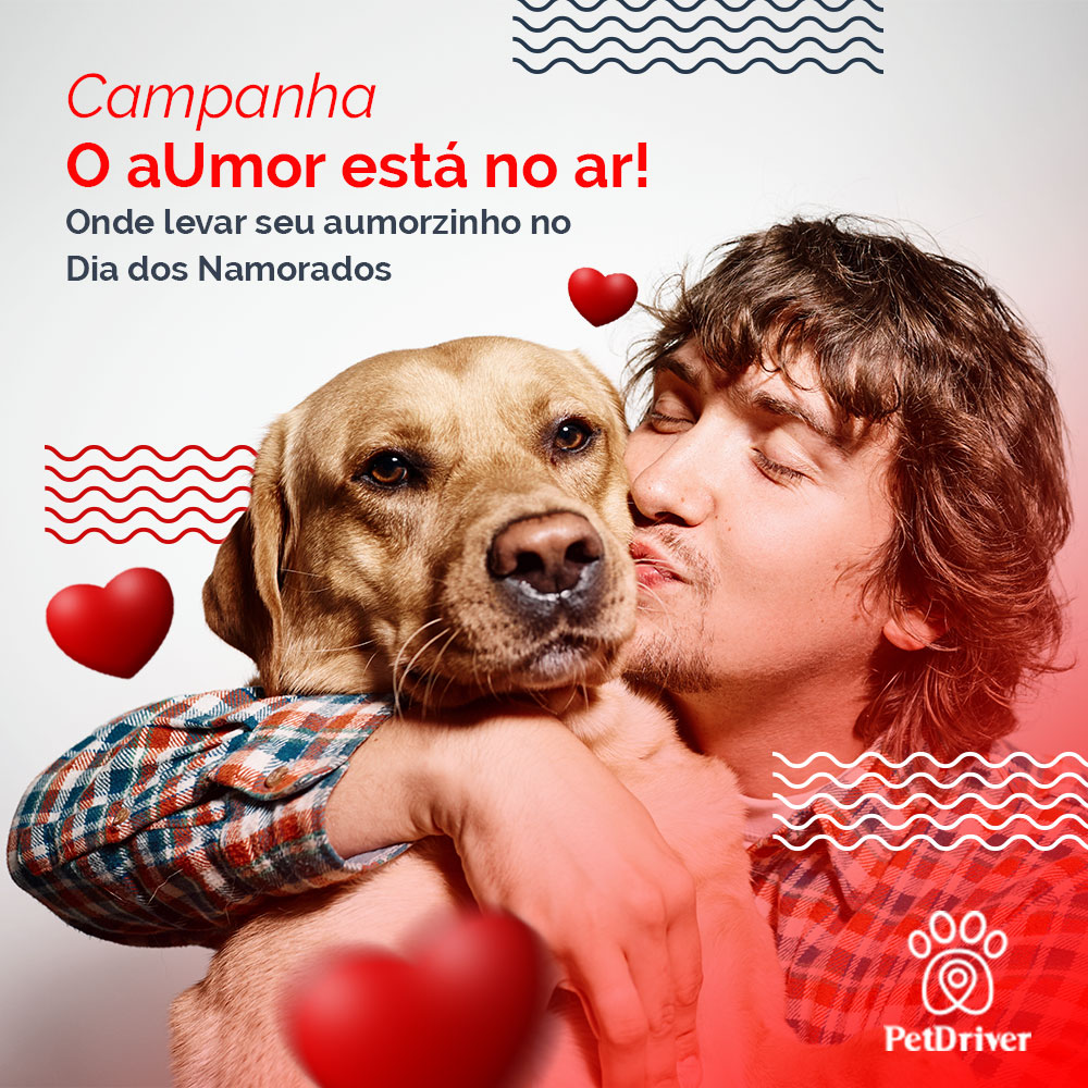 Comemore o amor incondicional do seu peludo!