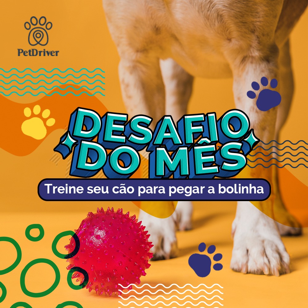 Hora de criar o momento mais feliz do dia deles!