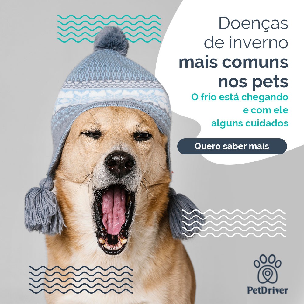Cuidados no inverno são importantes!