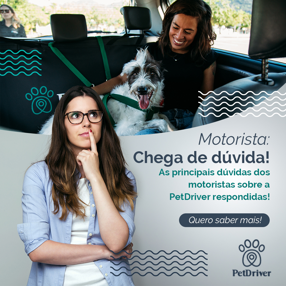 Dúvidas frequentes de motoristas sobre a PetDriver