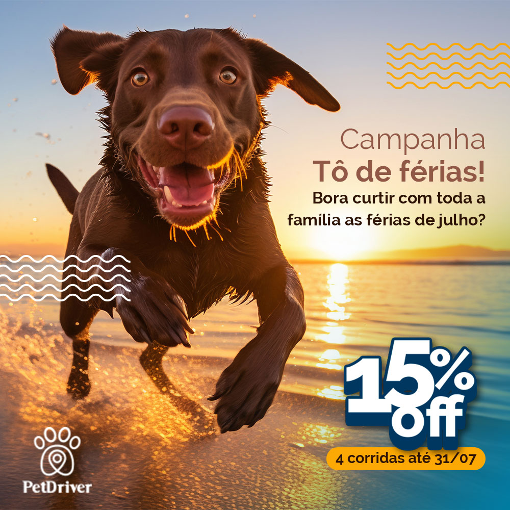 Para curtir com TODA a família as férias de julho!