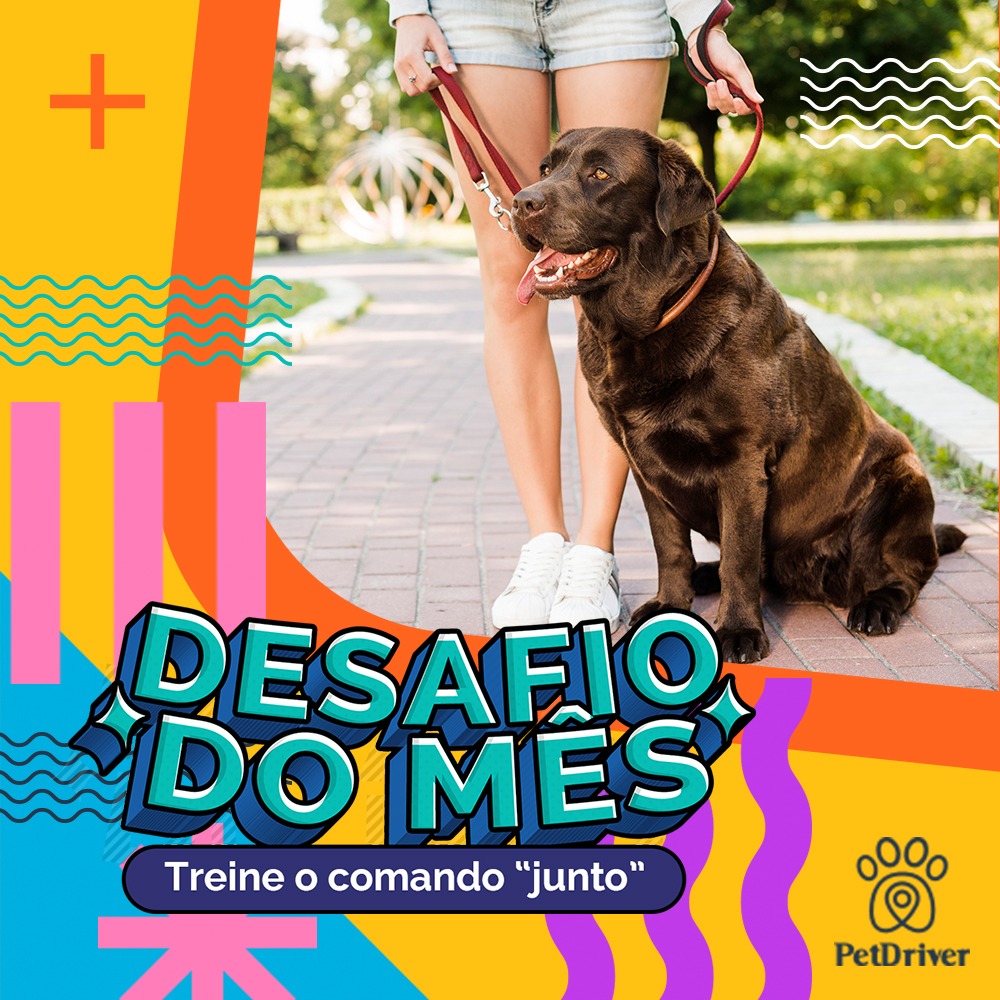 Juntinhos nos passeios e sem estresse!