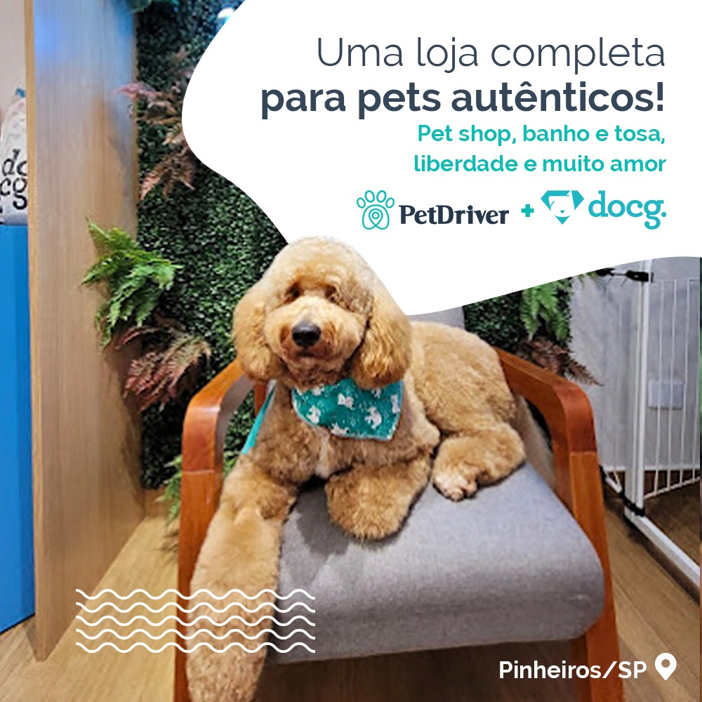 O pet shop preferido de Pinheiros!