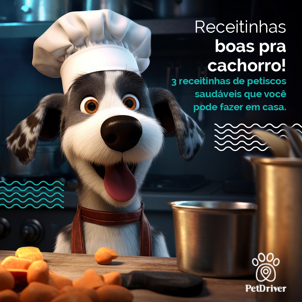 A hora mais gostosa do dia chegou! Hora do petisco!