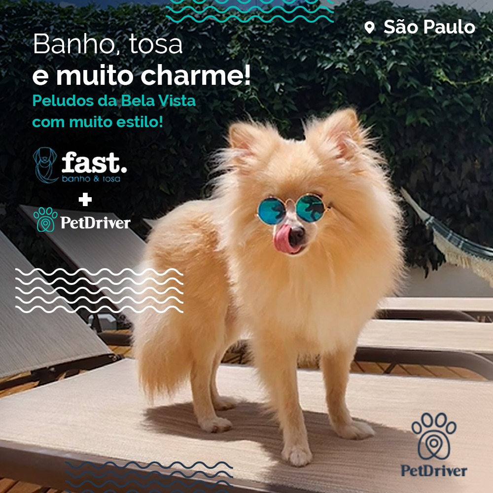 O point do estilo pet na Bela Vista!