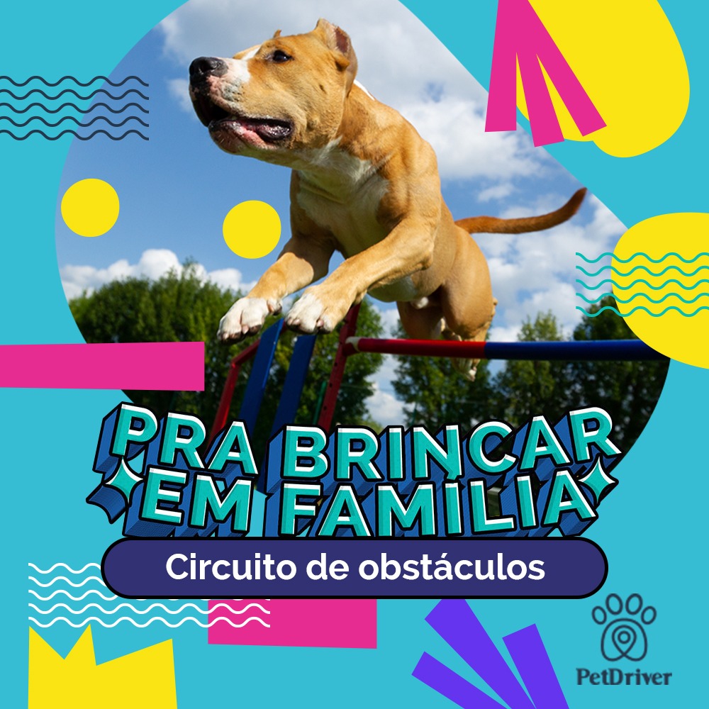 Brincadeira tem hora e é agora!