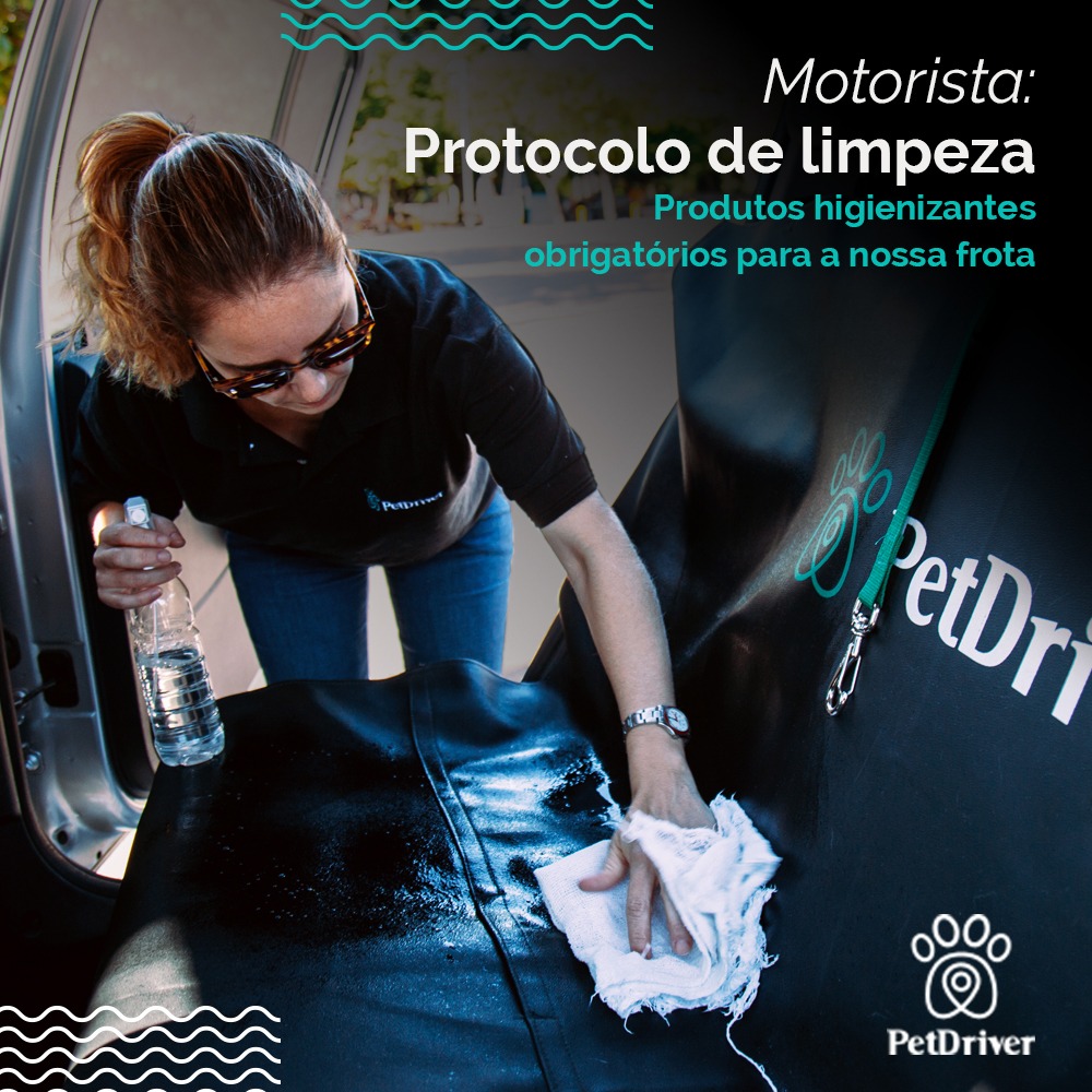 Cuidados que promovem saúde e zelo com os peludos