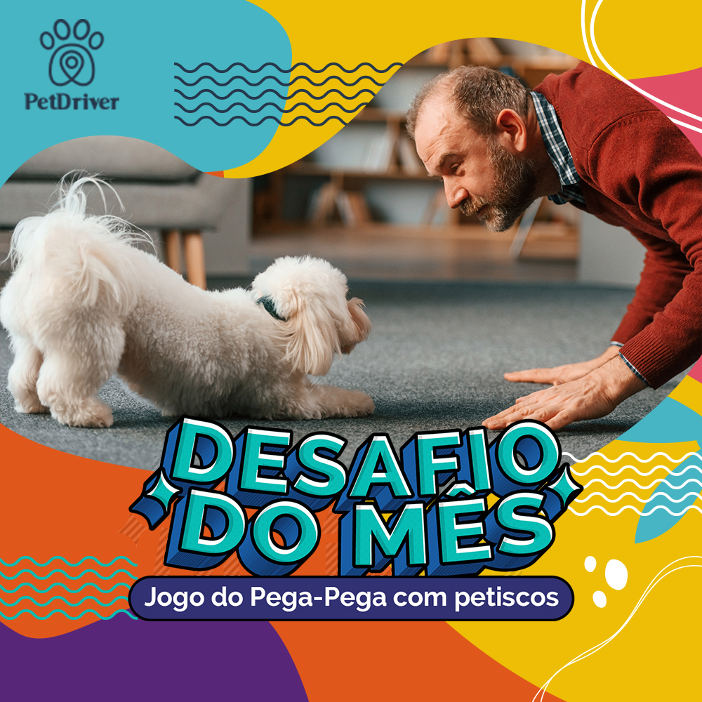 Petiscos + Pega-pega = 100% de diversão!