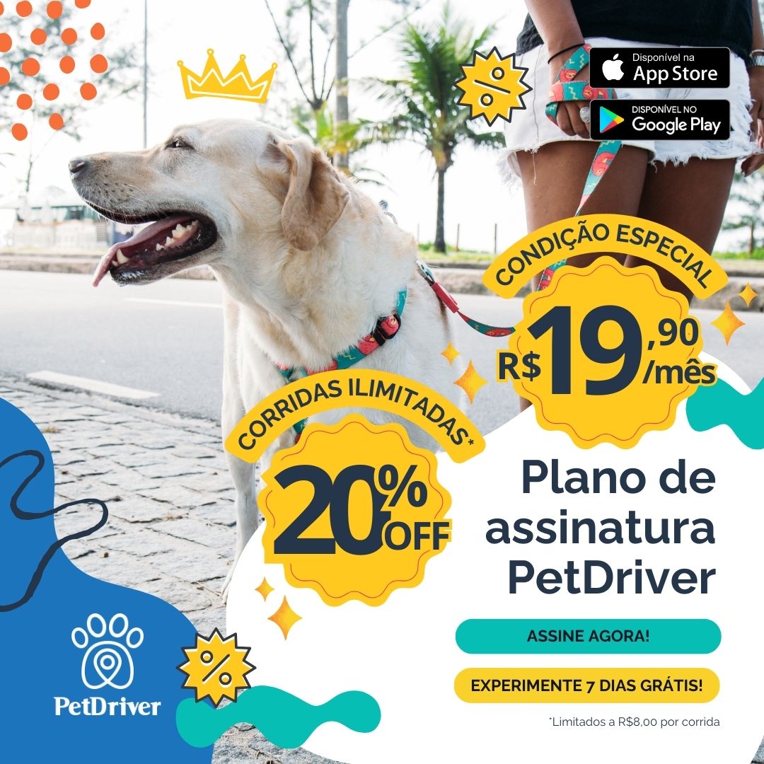 Aqui, você recebe mais do que investe!