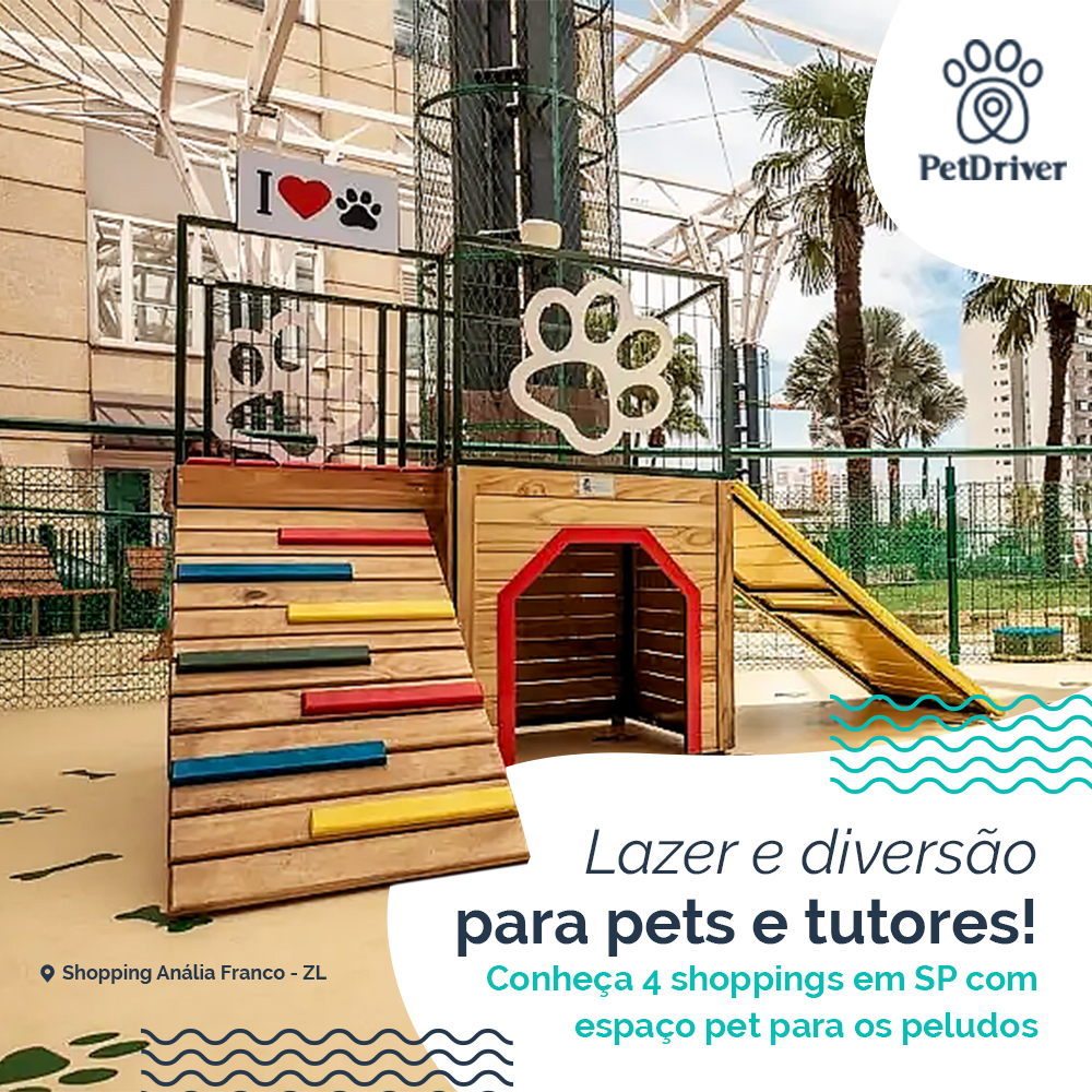 Lazer garantido para pets e tutores em SP!