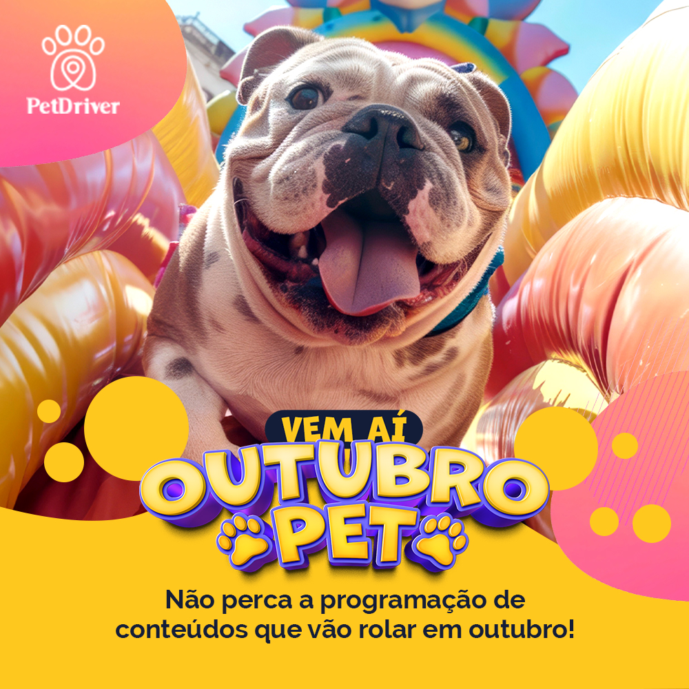 Mergulhe na magia do universo pet friendly!