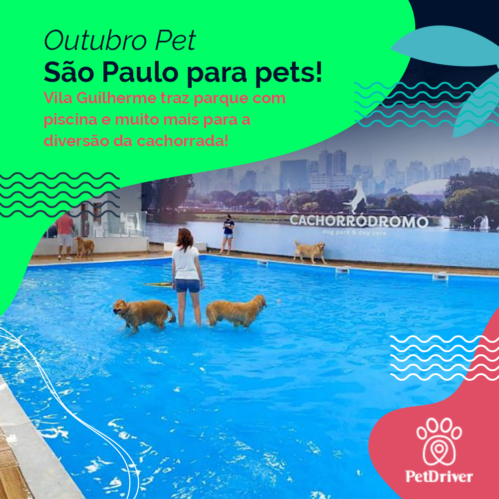 São Paulo cada vez mais pet friendly!