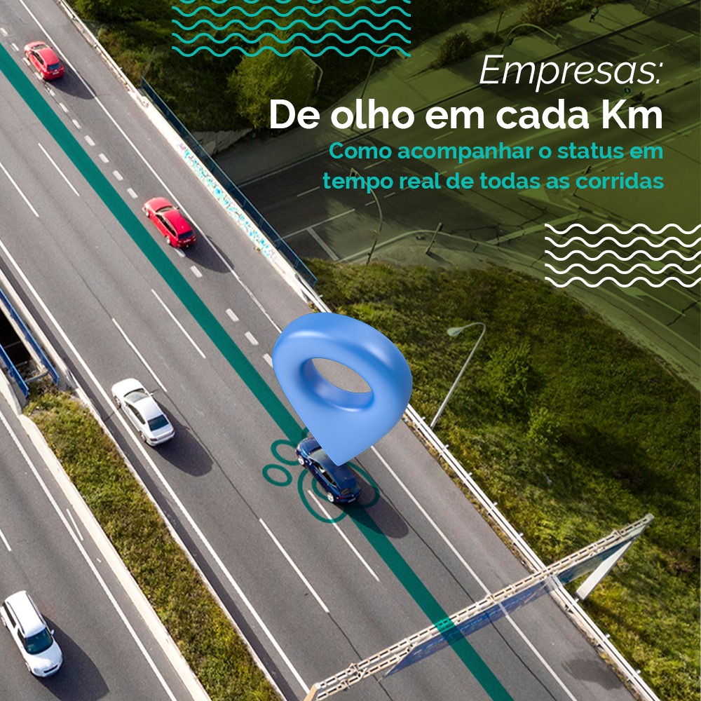 PetDriver: entregando segurança e confiança sempre!