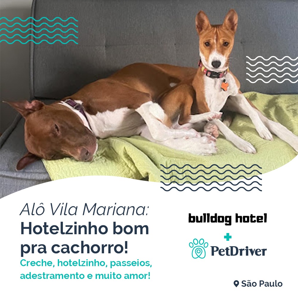 Vila Mariana aconchegante como seu pet nunca viu!