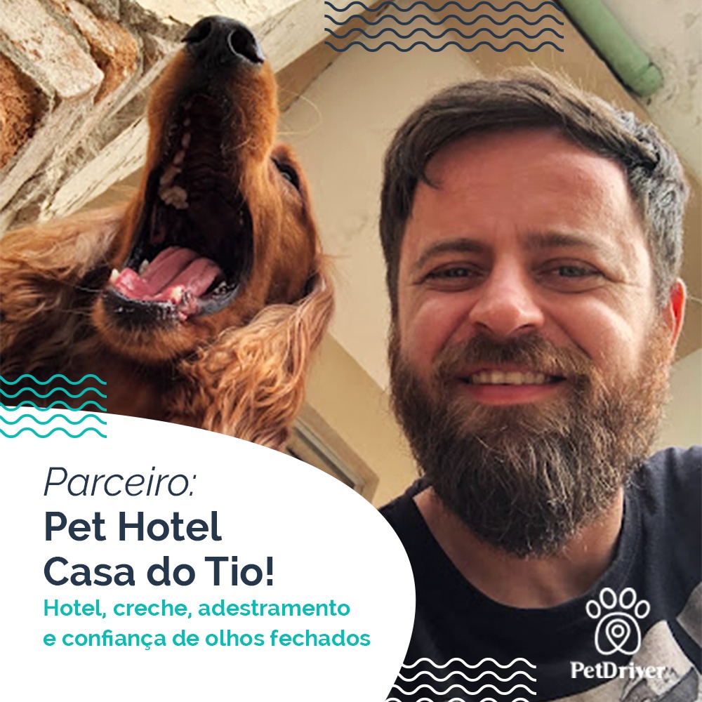 Cuidados excepcionais para pets excepcionais