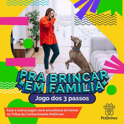 Diversão e aprendizado juntos!